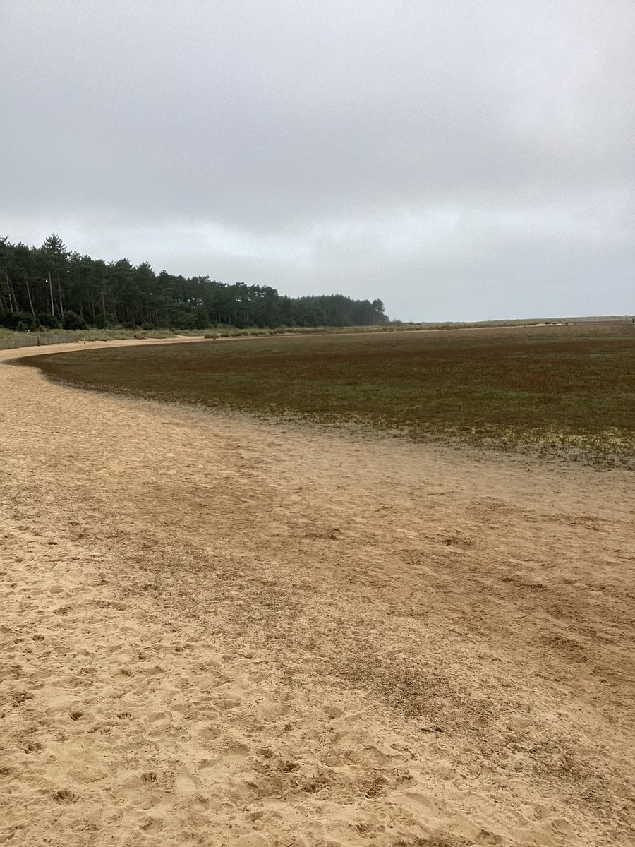A brilliant day out for #BGSY12 Fine Art students <a href="/HolkhamEstate/">Holkham</a> . All developed stunning drawings, and we can’t wait to get into the studio to expand on this research #CreativeThinkers