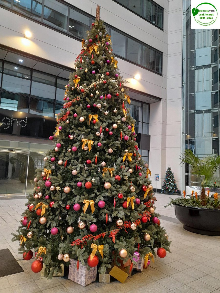 plants_atwork's tweet photo. plants@work Awards 2024; Gold Leaf, category: Christmas Installation  project: Bridgewater Place by Mitie Landscapes Ltd @mitie  https://t.co/2T5i5Es1GY https://t.co/3BYt1fmqJT