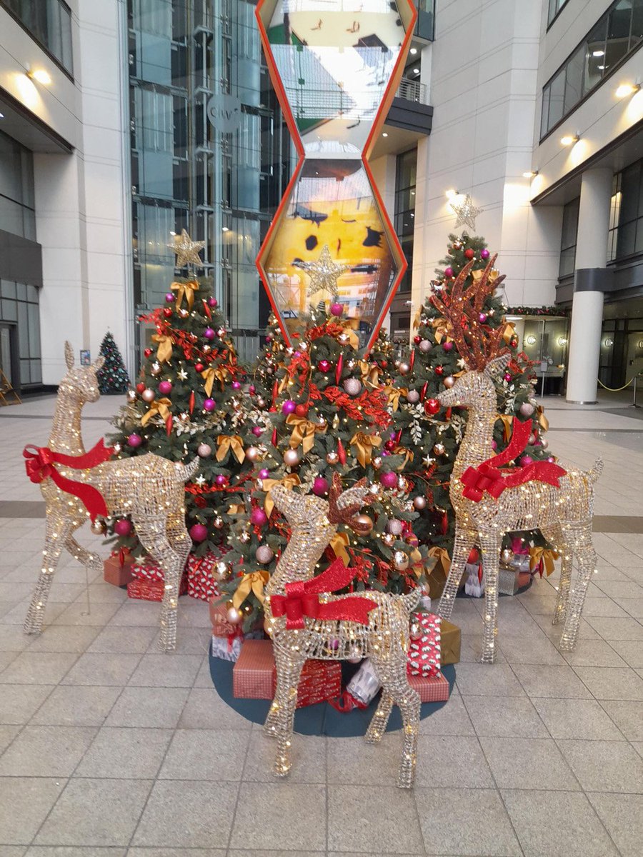 plants_atwork's tweet photo. plants@work Awards 2024; Gold Leaf, category: Christmas Installation  project: Bridgewater Place by Mitie Landscapes Ltd @mitie  https://t.co/2T5i5Es1GY https://t.co/3BYt1fmqJT