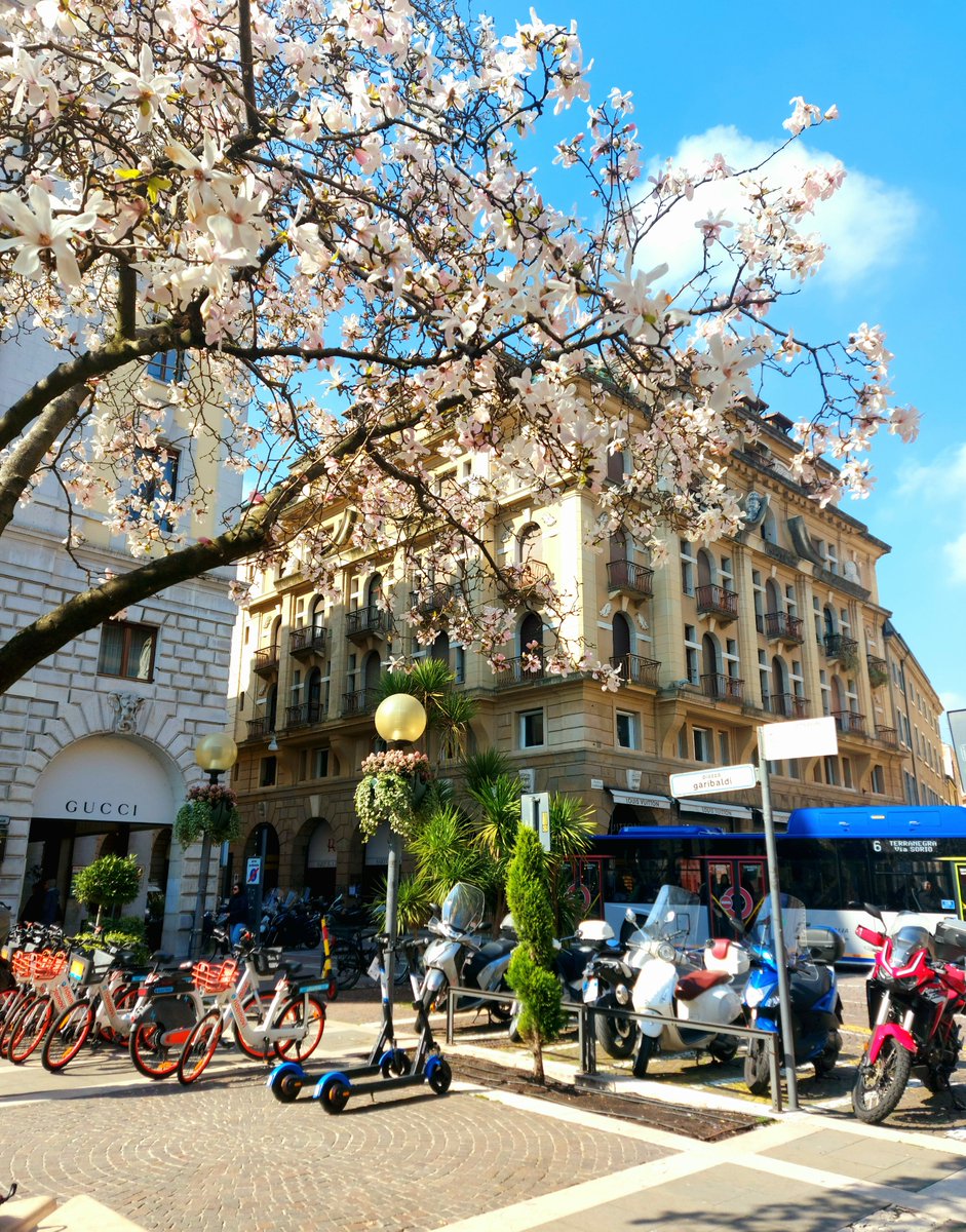 minushka tweet media