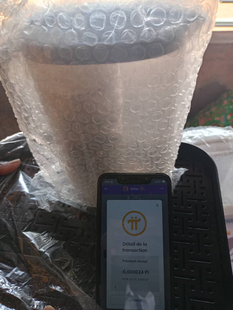 DaabiaMall's tweet photo. During #PiFest, our Ambassador @Ganiou94 and his team conducted a valuable training, teaching Pioneers how to do p2p Pi transactions! They practiced real barter trading, exchanging products for Pi tokens. Proud of their dedication to building the Pi ecosystem.
#DaabiaMall https://t.co/GQHfBZDyDF