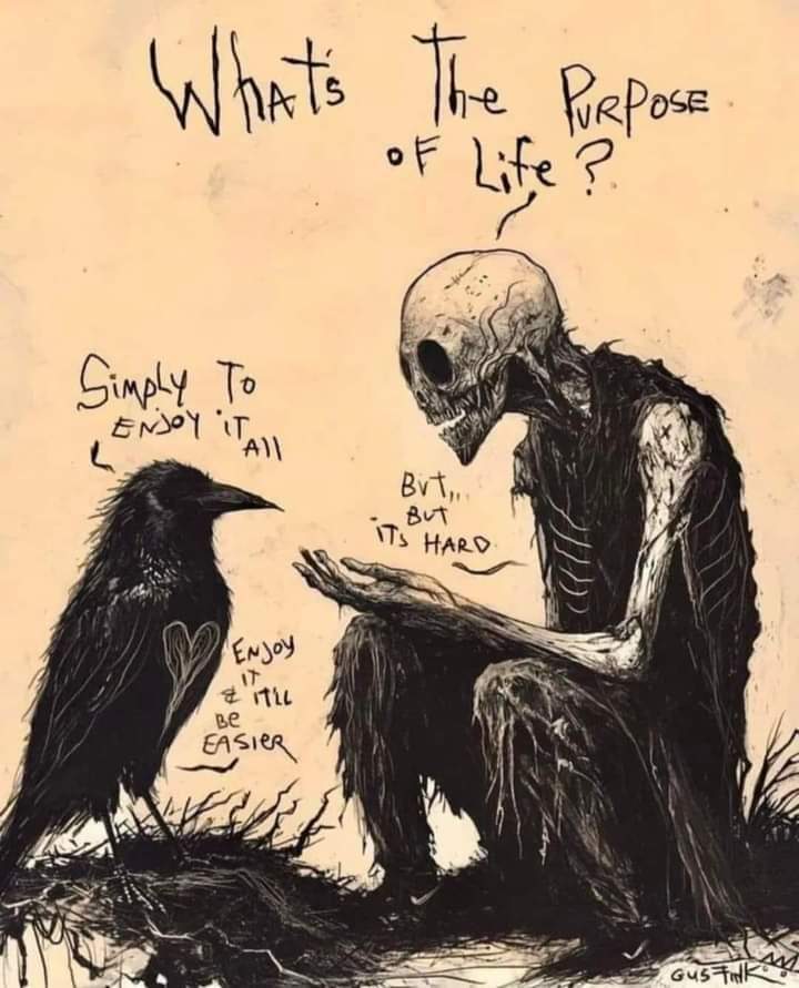 It's important to realize the bad times are good times too because soon enough they will only be memories and lost after that.
Much love to each and everyone of you stay lifted ❣️