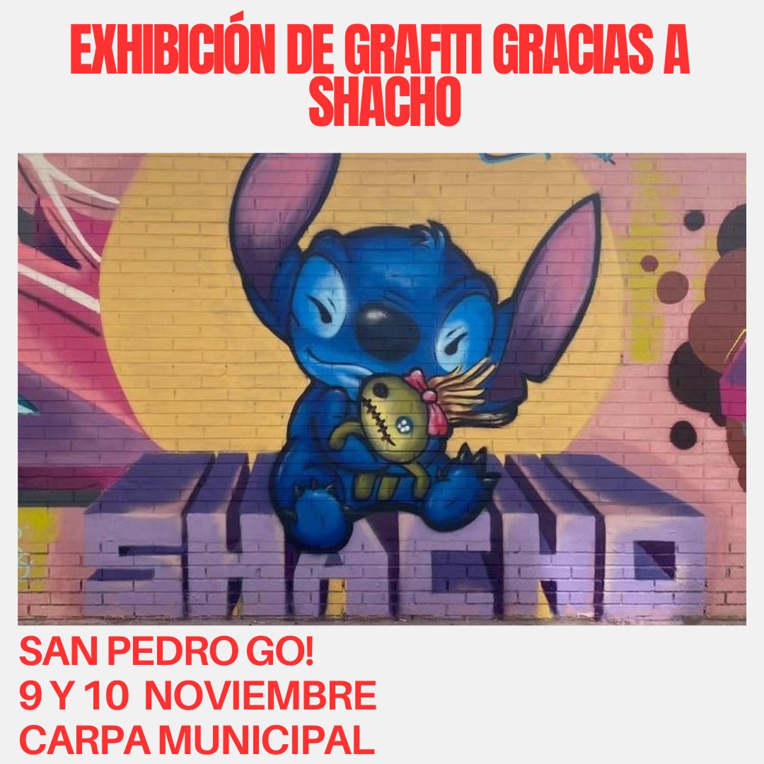 Sanpedrogo tweet media