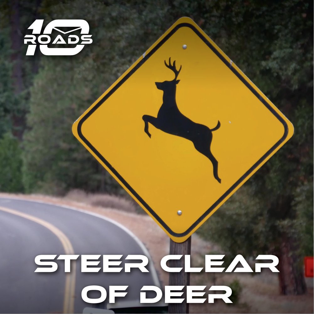 As the seasons change, deer are on the move.
Drivers, keep an eye out and steer clear of deer on your route.
Stay Alert. Stay Safe.