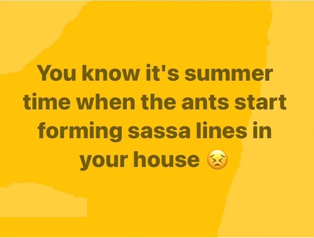 EPHRAIM ❣️ tweet media