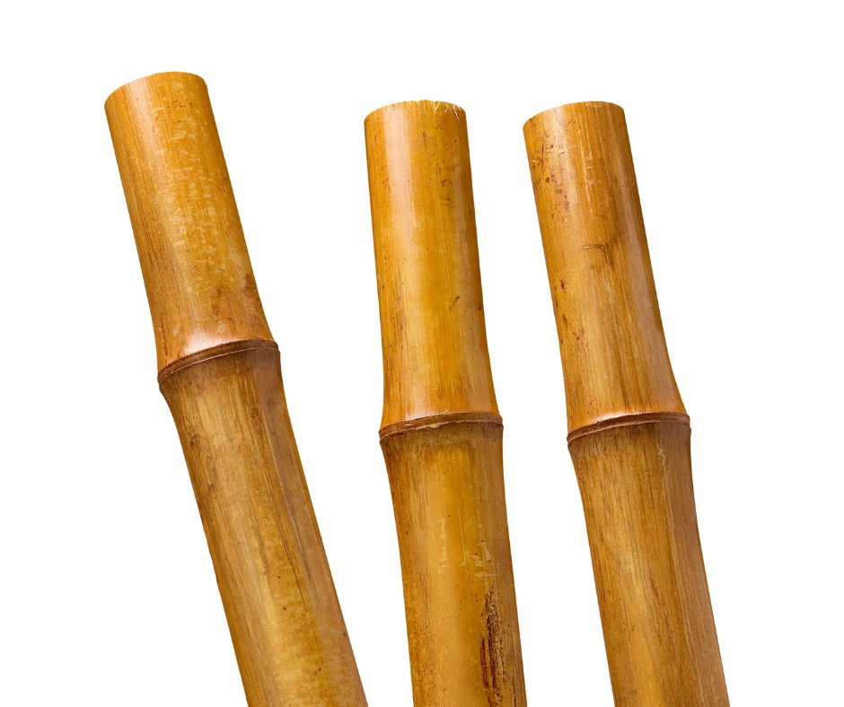 ukbamboo's tweet image. Don’t miss out! Join our newsletter for updates on new products and exclusive offers from UK Bamboo. bit.ly/4hE68Ka

#BambooSolutions #SustainableLiving #UKBamboo #EcoFriendly #Newsletter