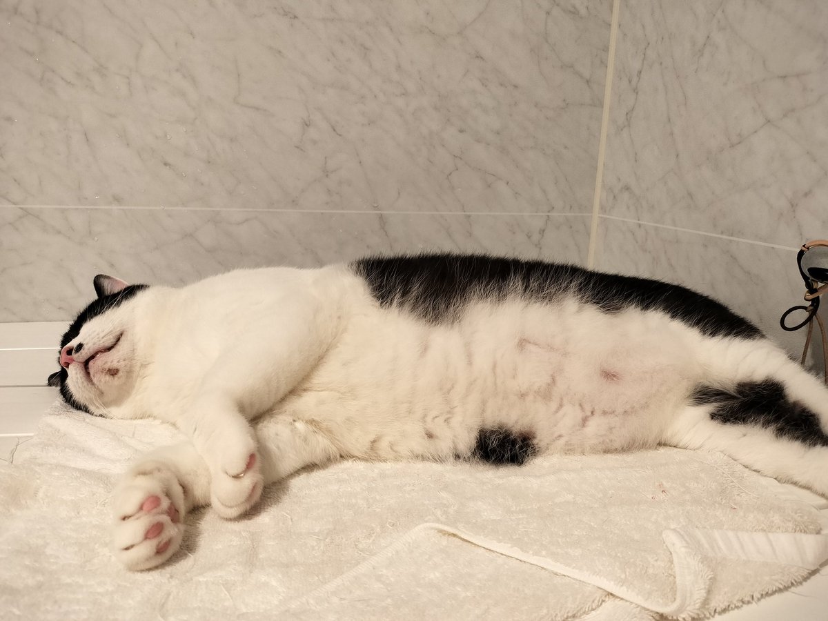 あごニキビがなかなか治りません💦