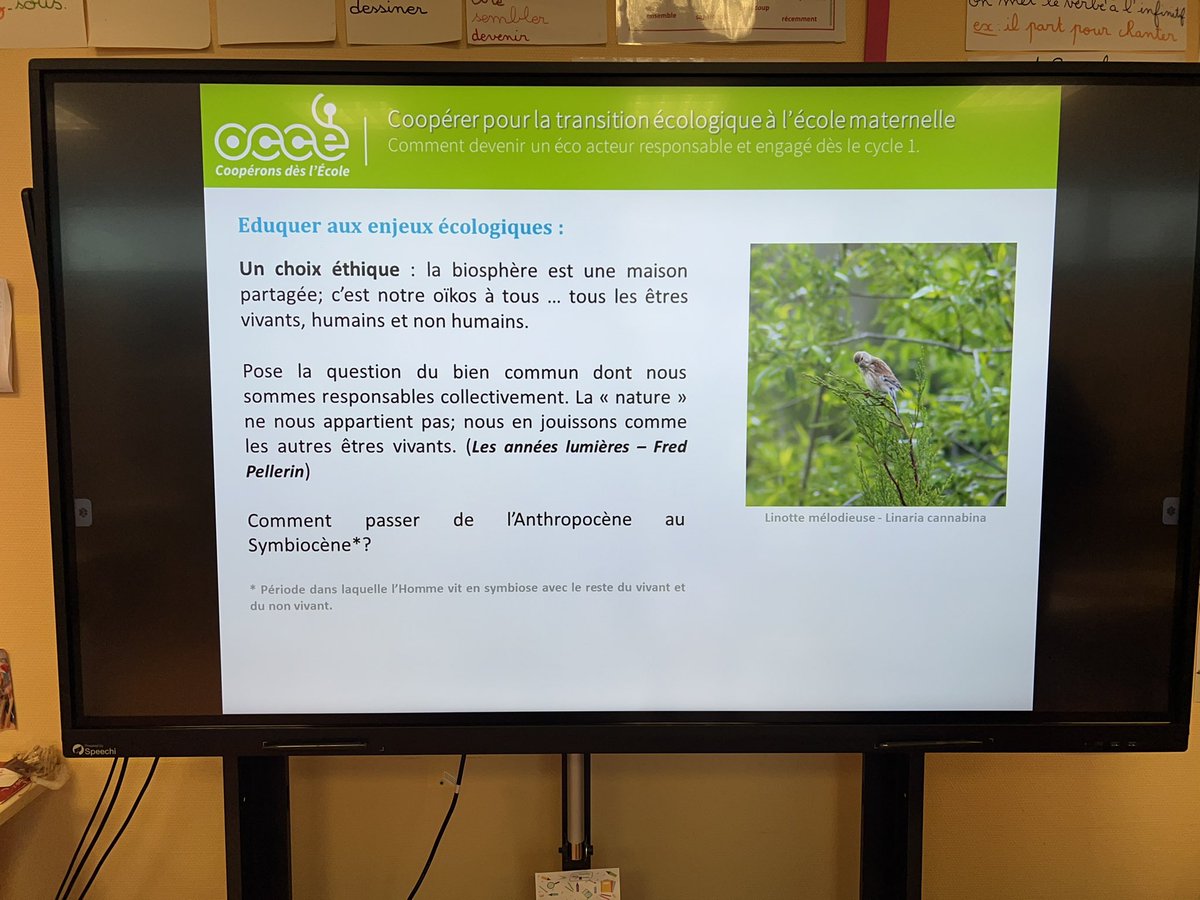 FannyBZH tweet media