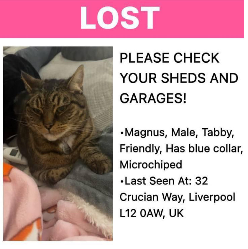 This is for a very dear friend who is heartbroken as her cat “Magnus “is a very nervous cat and went missing yesterday. Magnus was wearing  a blue collar, If you have any information that leads to Magnus getting back home safely she is offering £100 reward.