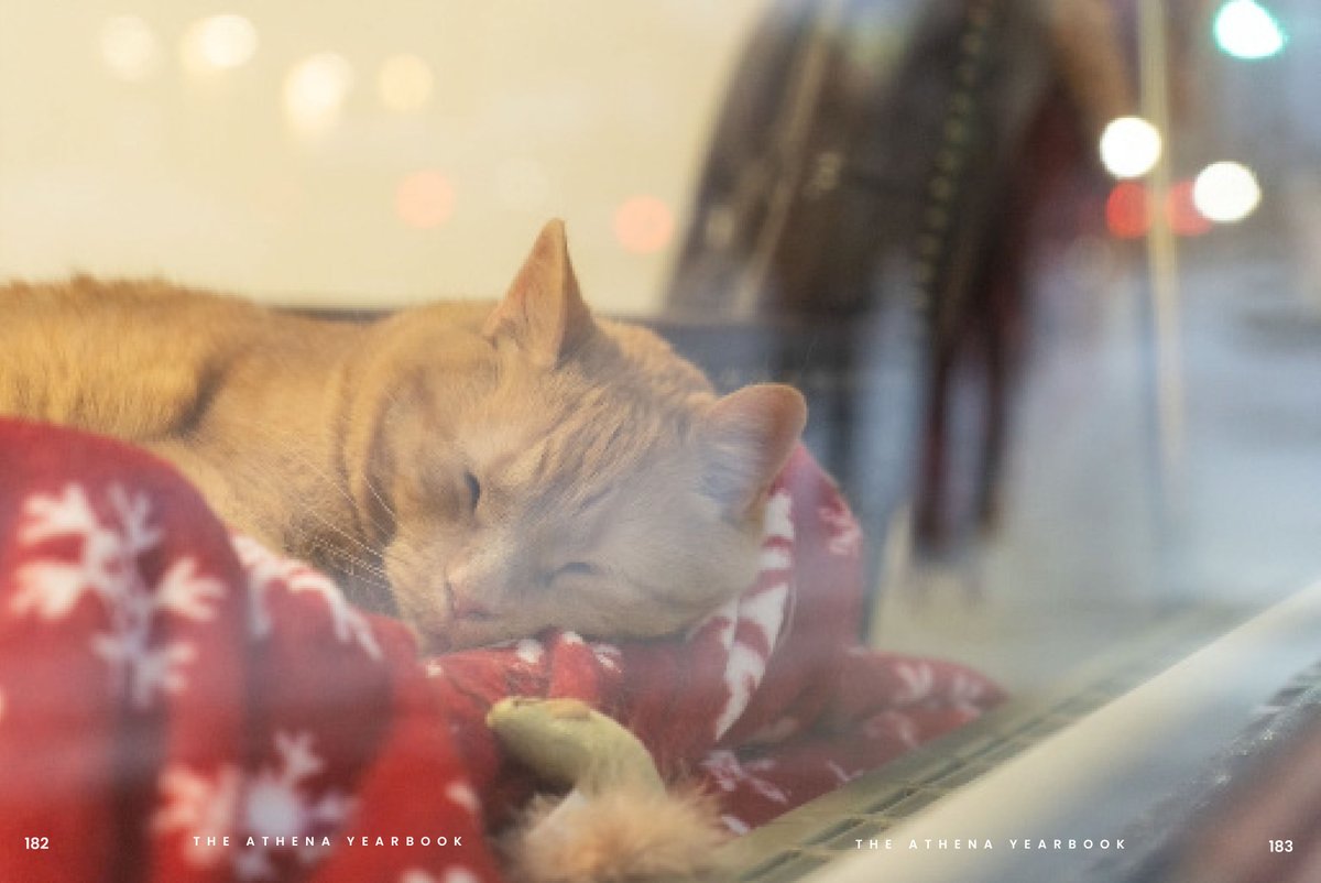#November means midterms over &amp; #holidays quickly approaching– almost time for break, resting, &amp; seeing family. Here, Pumpkin (our local <a href="/ohiou/">Ohio University</a> celebrity) naps on a holiday blanket. Keep going Bobcats! #OHIOUniversityArchives #OHIOUniversity #ForeverOHIO bit.ly/ou-ua-pumpkin-…