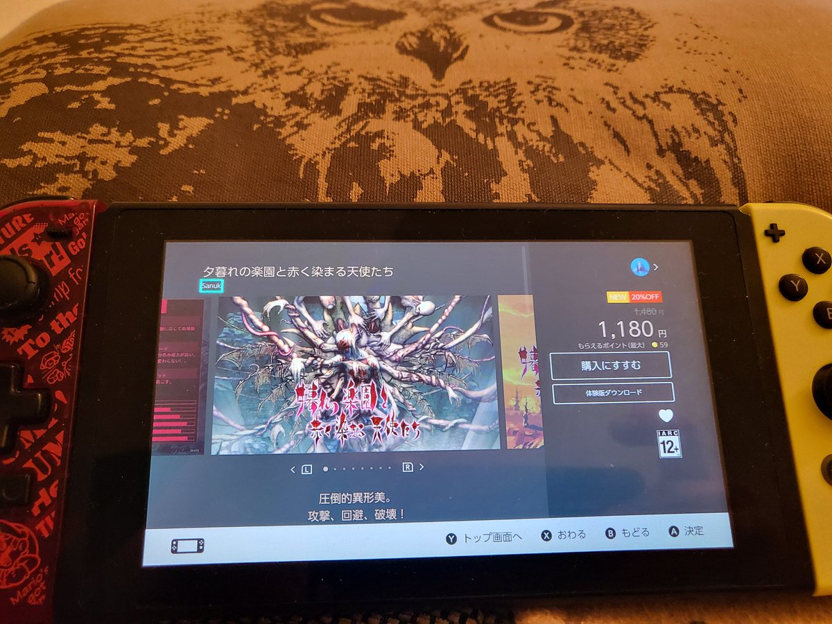 Darius Schmupper tweet media