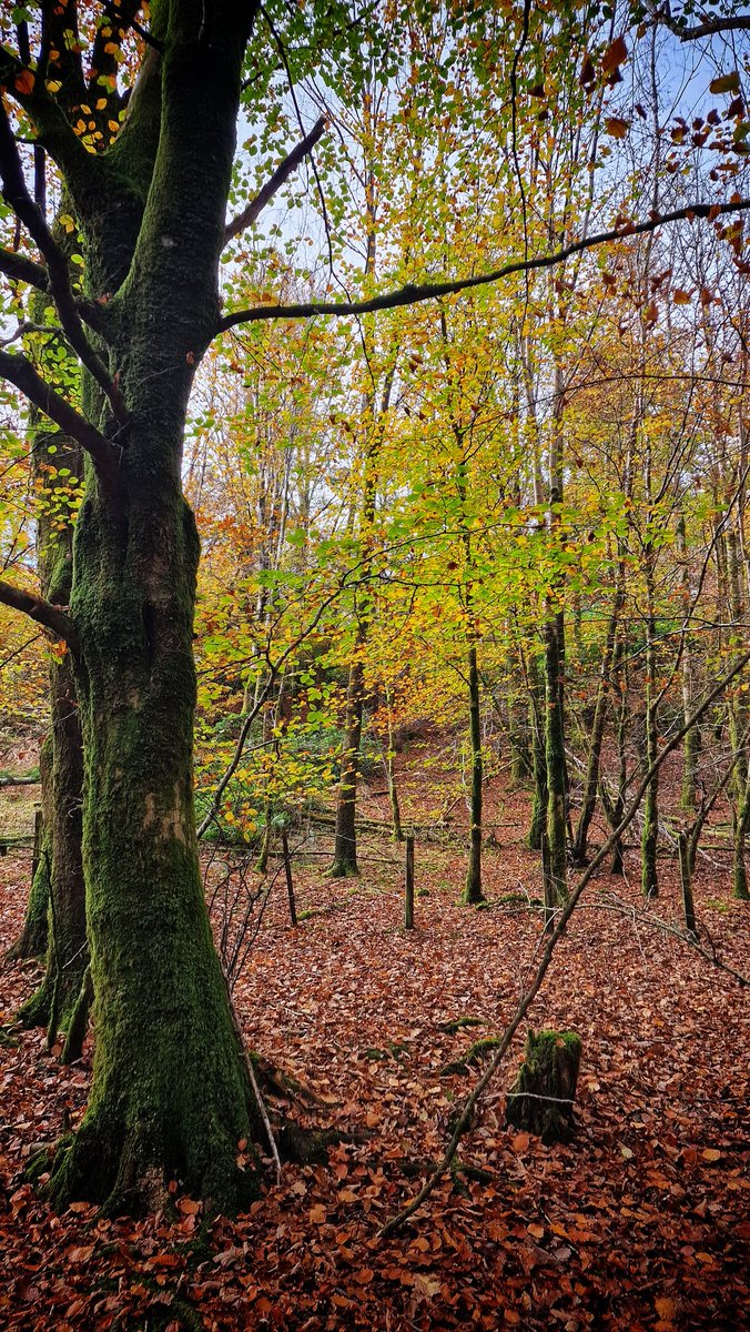 dave_cocks's tweet photo. #Derwent #Keswick #Cumbria #LakeDistrict #grimupnorth #StormHour #bbcweather #metoffice #itvweather #earthandclouds #PhotographyWx #GalaxyS22Ultra https://t.co/tFp0GzWVfa