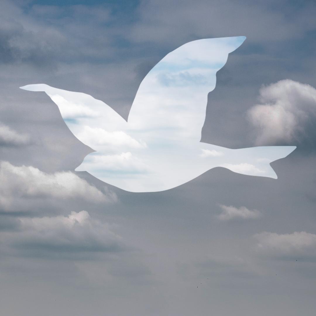 However dark the day, there is always hope. 
Today, we need to stand up more than ever. For women's rights, for peace, for the climate. 
Forming islands. Islands of hope. Islands of resistance. 
United we stand. 
Together we will make our planet great again.