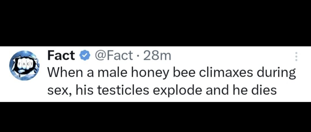 SpeedBoomage's tweet image. Is this where the saying 

GREAT BALLS OF FIRE 🔥 comes from? 

#comedywednesday