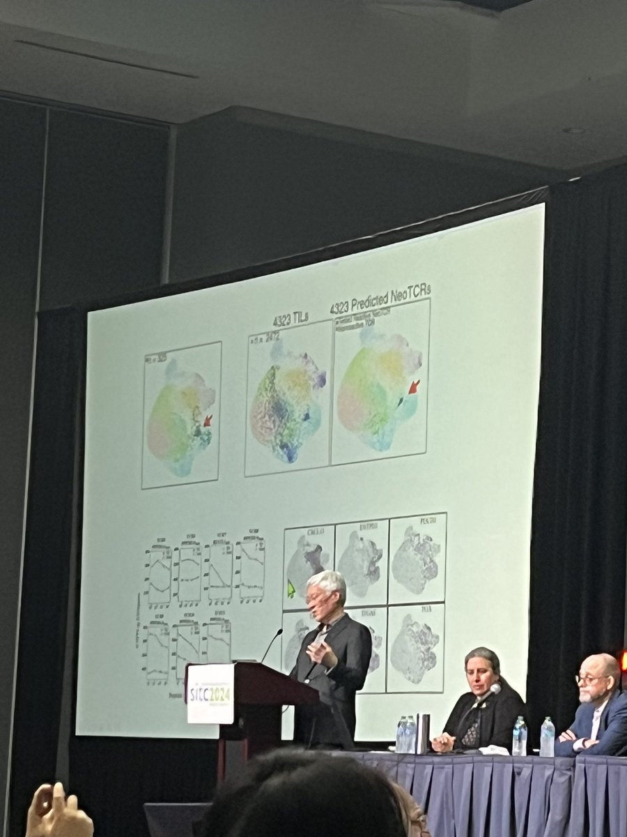 Rebecca Lim tweet media