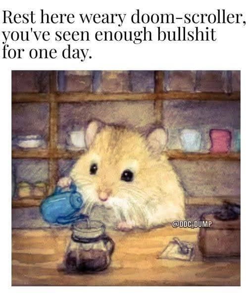 woofknight's tweet image. 