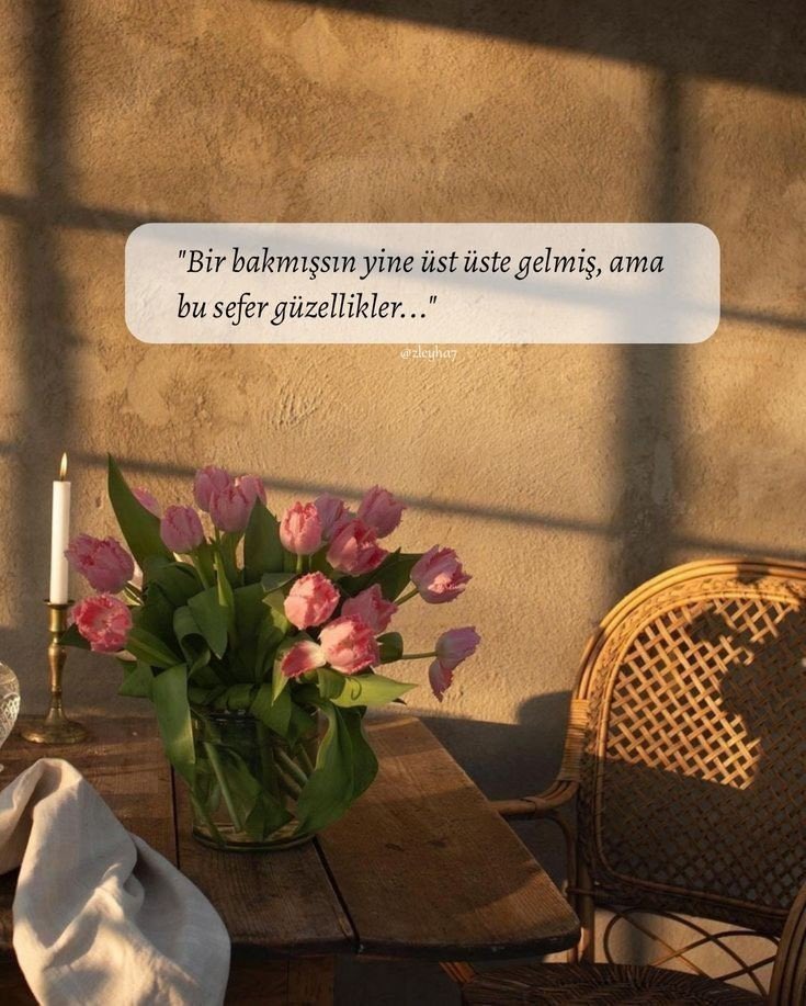 Philosophy. (@ikincisatir1) on Twitter photo 