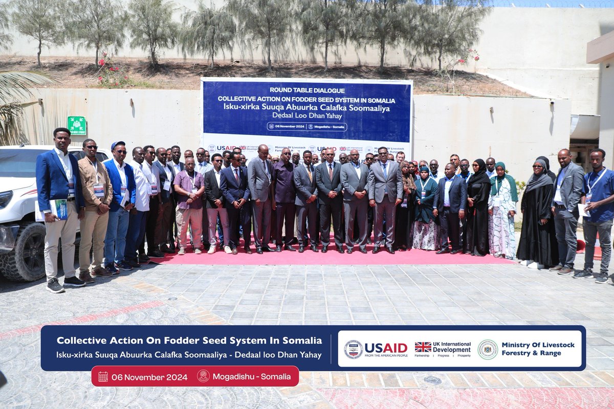 Today at the fodder sector roundtable, H.E. Minister <a href="/HassanEeley/">Hassan Hussein Mohamed</a> urged private firms &amp; cooperatives to invest in boosting fodder production and conservation for healthier livestock in #Somalia. 

Investing in innovative practices, he said, is key to sustainable, affordable feed.
