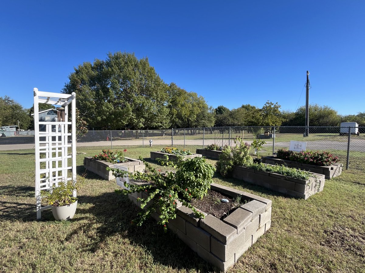 Barbara K Burns tweet media