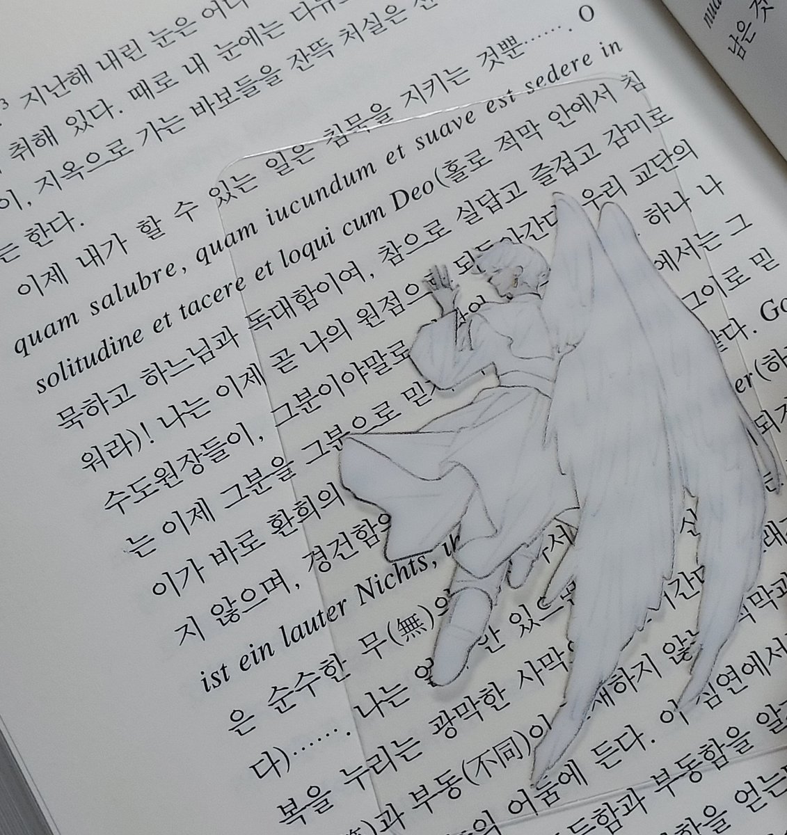 나르케 투명 포카 나눔을 특이점(<a href="/sin9ularity000/">특이점</a>)님께 받았어요!! 정말 감사합니다 ... 캘리그라피 진짜 너무 멋있어요!!! 예쁘게 찍어보고 싶은데 재주가 없어서 반짝반짝.. 아름다움이 잘 안 담기네요 🥹
굴러다니는 영어 책이랑 장미의 이름(아직 안 읽음)과 함께 찍어 보았어요 ><