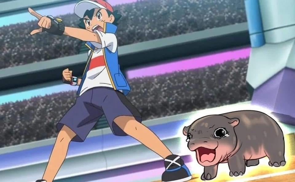 auramoneyman's tweet photo. #moodeng — I choose you! https://t.co/bdG0Bs74UQ