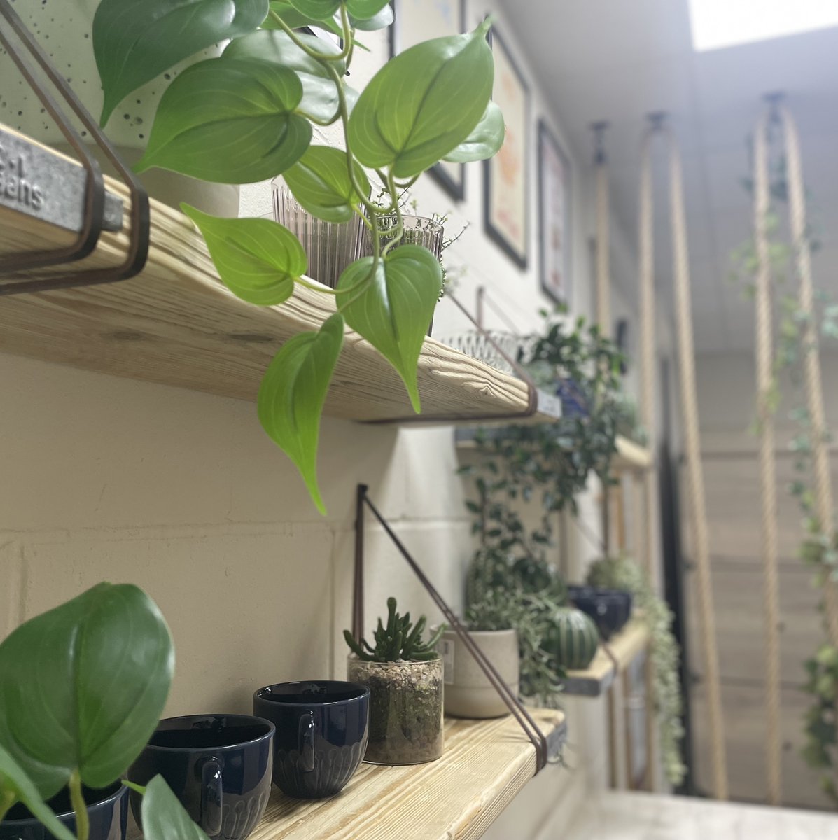 Access_Interiors_Cambridge tweet media