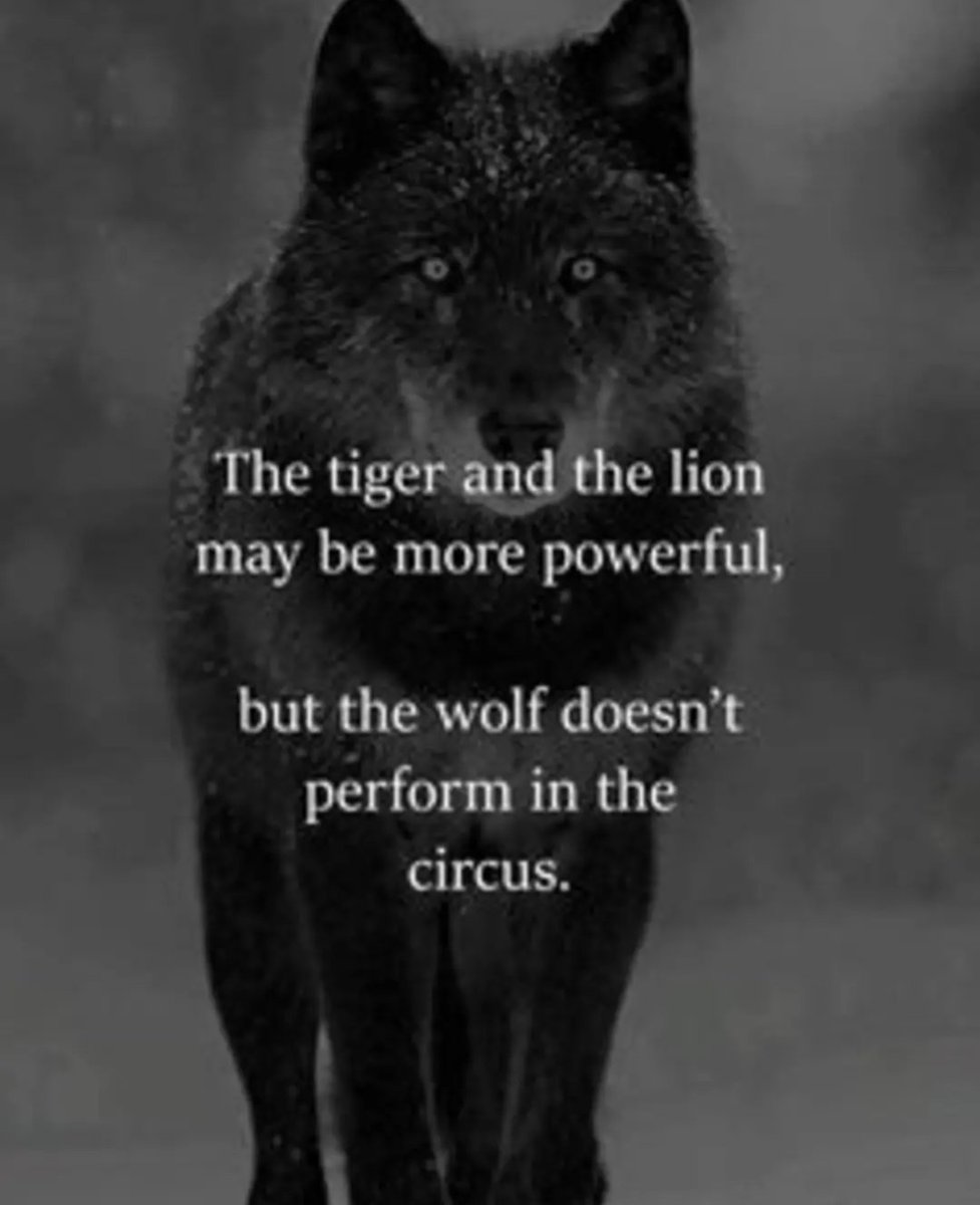 lyssasphere's tweet photo. Good morning 🐺 pack!!!

We are stronger than any political situation, you guys. Let's remember what really matters, yeah? Don't let the fucking television ruin your day. https://t.co/NQuYBDGClP