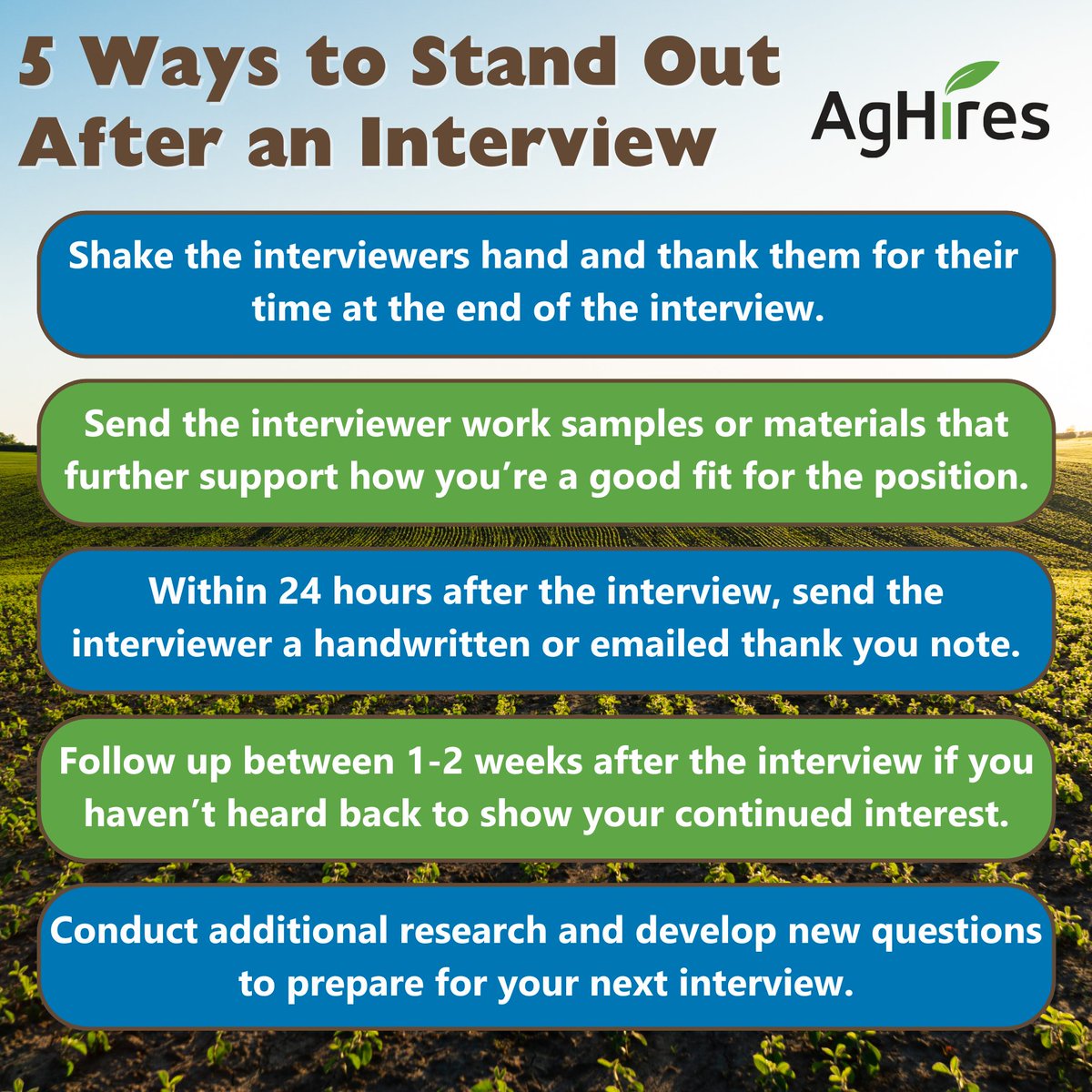 In a job market this competitive, standing out as a candidate makes all the difference. Check out 5 steps you can take to stand out after the interview. 👇

#AgHires #Agriculture #Ag  #NowHiring #JobSearch #CareerHelp #InterviewTips #JobSearchTips #ResumeTips #CareerTips