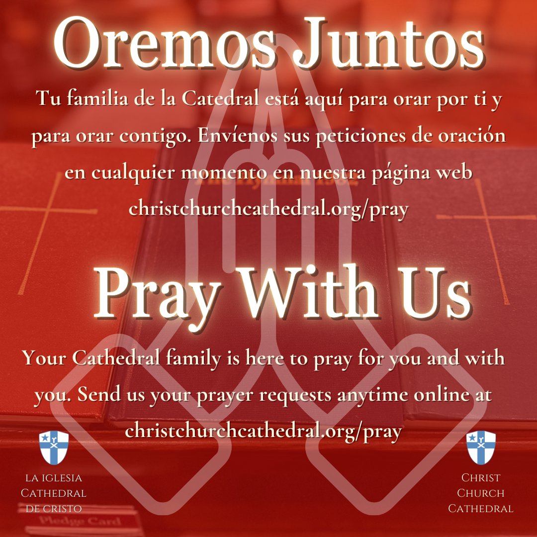 Christ Church tweet media