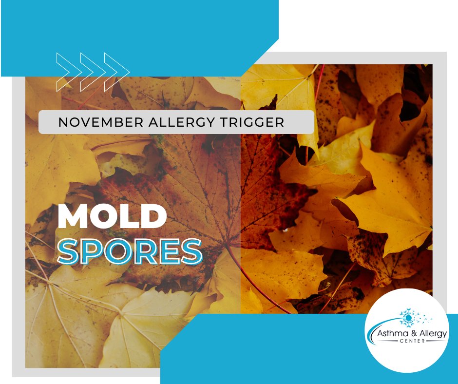 AsthmaAllergyVA's tweet image. As ragweed season ends, falling leaves can trap moisture and increase mold. Allergy testing at your doctor can help create a management plan. 
Call to schedule an appointment! 
📞Roanoke (540) 343-7331 📞Salem (540) 981-5653 📞Lynchburg (434) 846-2244
#FallAllergies  #AACVA