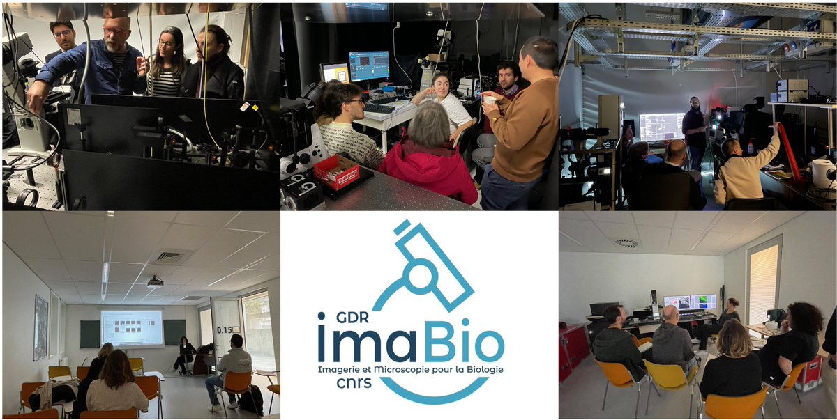 Sandrine LévêqueFort (@s_levequefort) on Twitter photo Busy afternoon at <a href="/ISMOlab_Orsay/">@ismolab.bsky.social</a> for the ANF FLIM with <a href="/GDR_ImaBio/">GDR ImaBio</a> for the 5 workshops, Time gated on our home made setup, new wide field FLIM detectors on our home made 2, 2ph FLIM, FLIM for demixing, analysis approaches. Feeling like being at a mini MiFoBio but home 🤩 !!🔬 Busy afternoon at <a href="/ISMOlab_Orsay/">@ismolab.bsky.social</a> for the ANF FLIM with <a href="/GDR_ImaBio/">GDR ImaBio</a> for the 5 workshops, Time gated on our home made setup, new wide field FLIM detectors on our home made 2, 2ph FLIM, FLIM for demixing, analysis approaches. Feeling like being at a mini MiFoBio but home 🤩 !!🔬