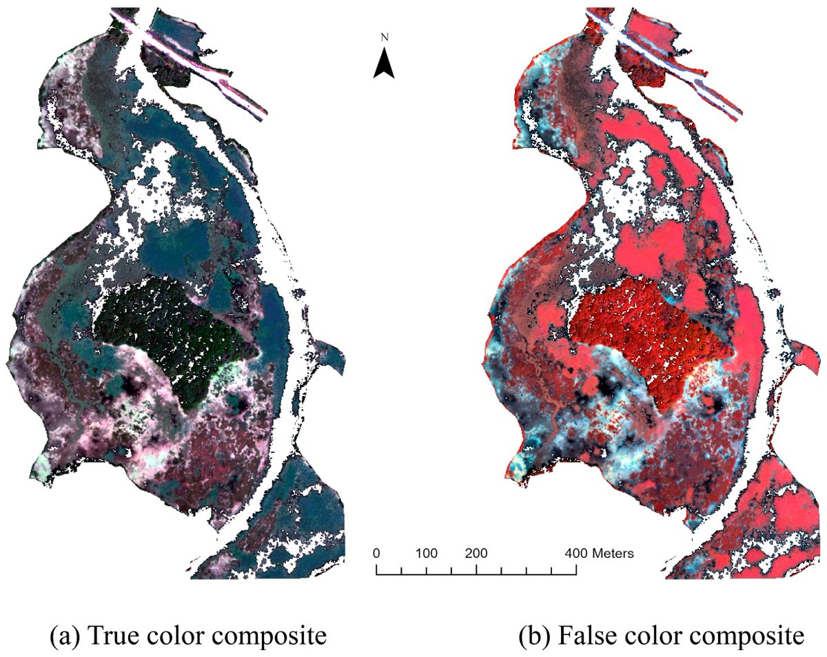 RemoteSens_MDPI's tweet photo. 💧🌿🌿 Integrating #UAV-Derived Information and #WorldView3 Imagery for Mapping #Wetland #Plants in the Old Woman Creek Estuary, #USA

✍️ Md Kamrul Islam et al.

🔗 https://t.co/eUPwPnQJiw https://t.co/oOvSjYTAxp