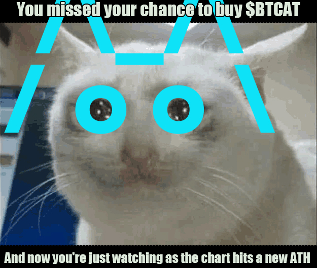 OliverThatcher1's tweet photo. @king_pesky @btcatsol Don't be that cat, buy $BTCAT so you don't regret it later 🥰 https://t.co/8AKxhpMWIG