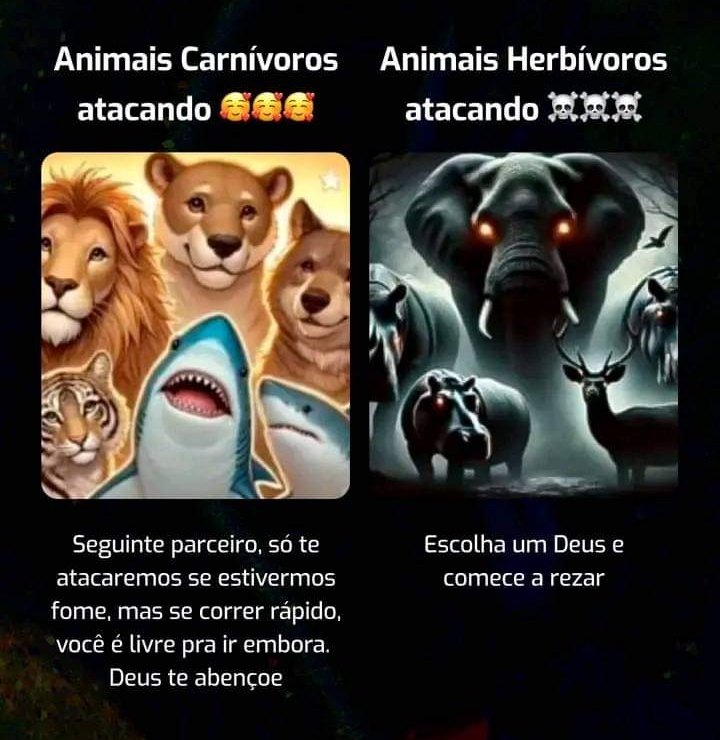 Terror do Cotidiano (@terrorcotidiano) on Twitter photo 