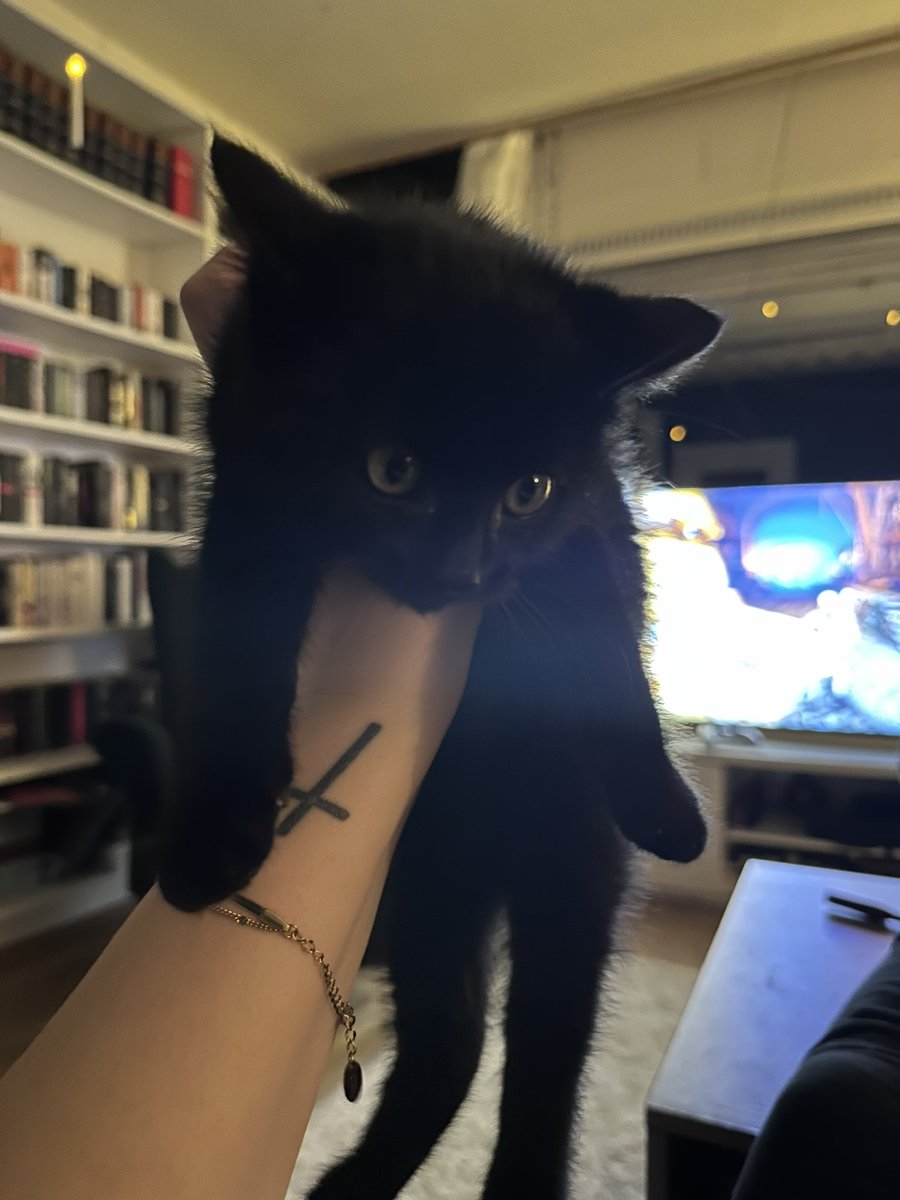 Welcome to our family wee Zuko Tanjirō 🖤🐈‍⬛