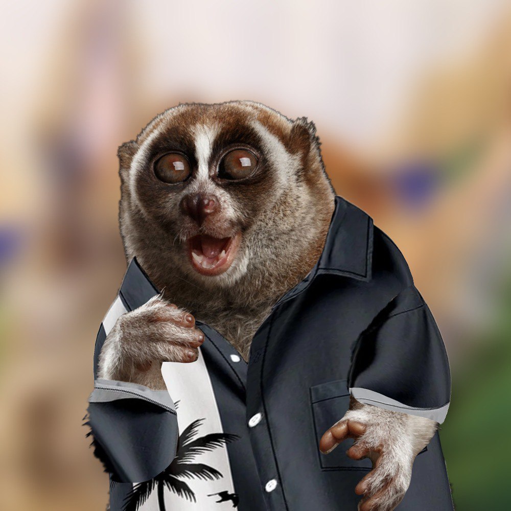 Loris Smiling LorisOnSol (@LorisOnSol) / Posts / X