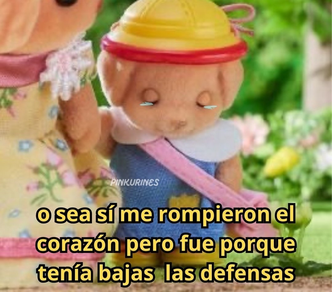 MiniAnimales's tweet photo. https://t.co/gSG7tbQEY7