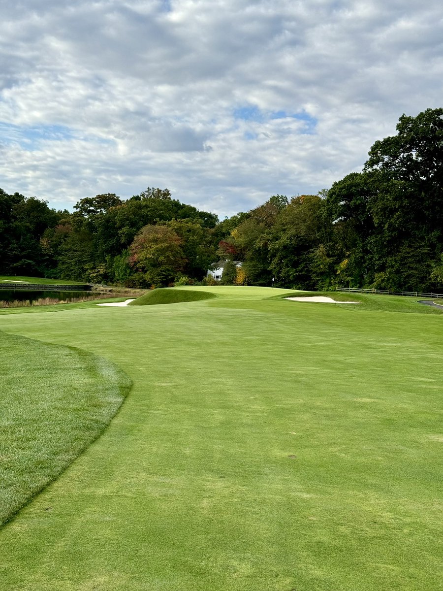 Elevation_Golfing_Nation tweet media