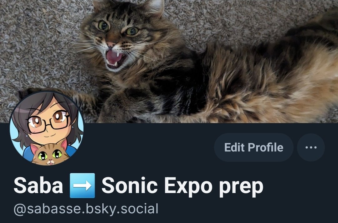 Saba🦋☁️ tweet media