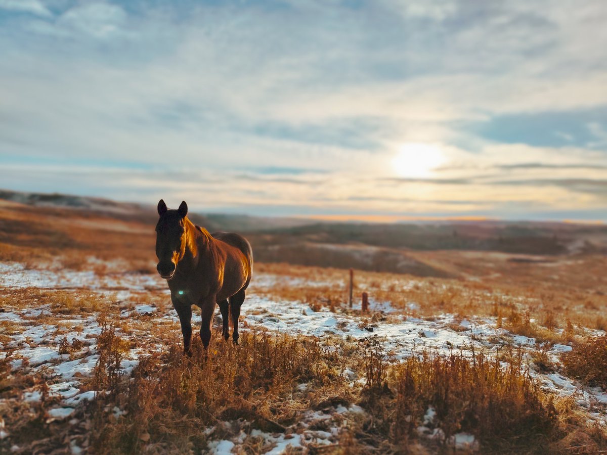 Jeromy (Pathfinder) Farkas tweet media