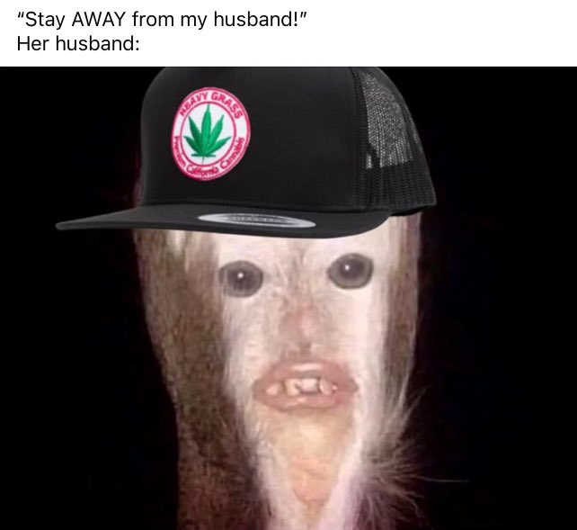 tinydarlingdear's tweet image. Accurate.