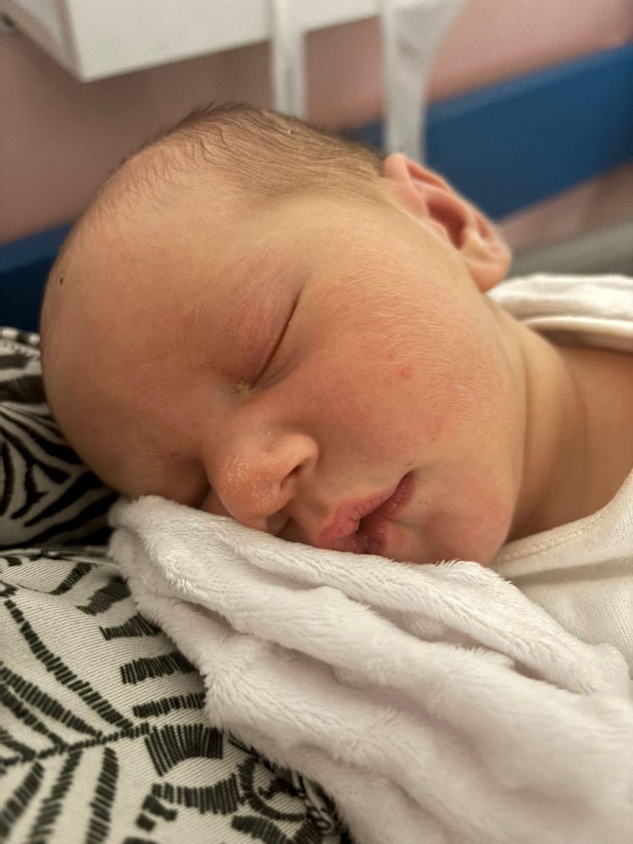 Grimes Dyke Primary School tweet media