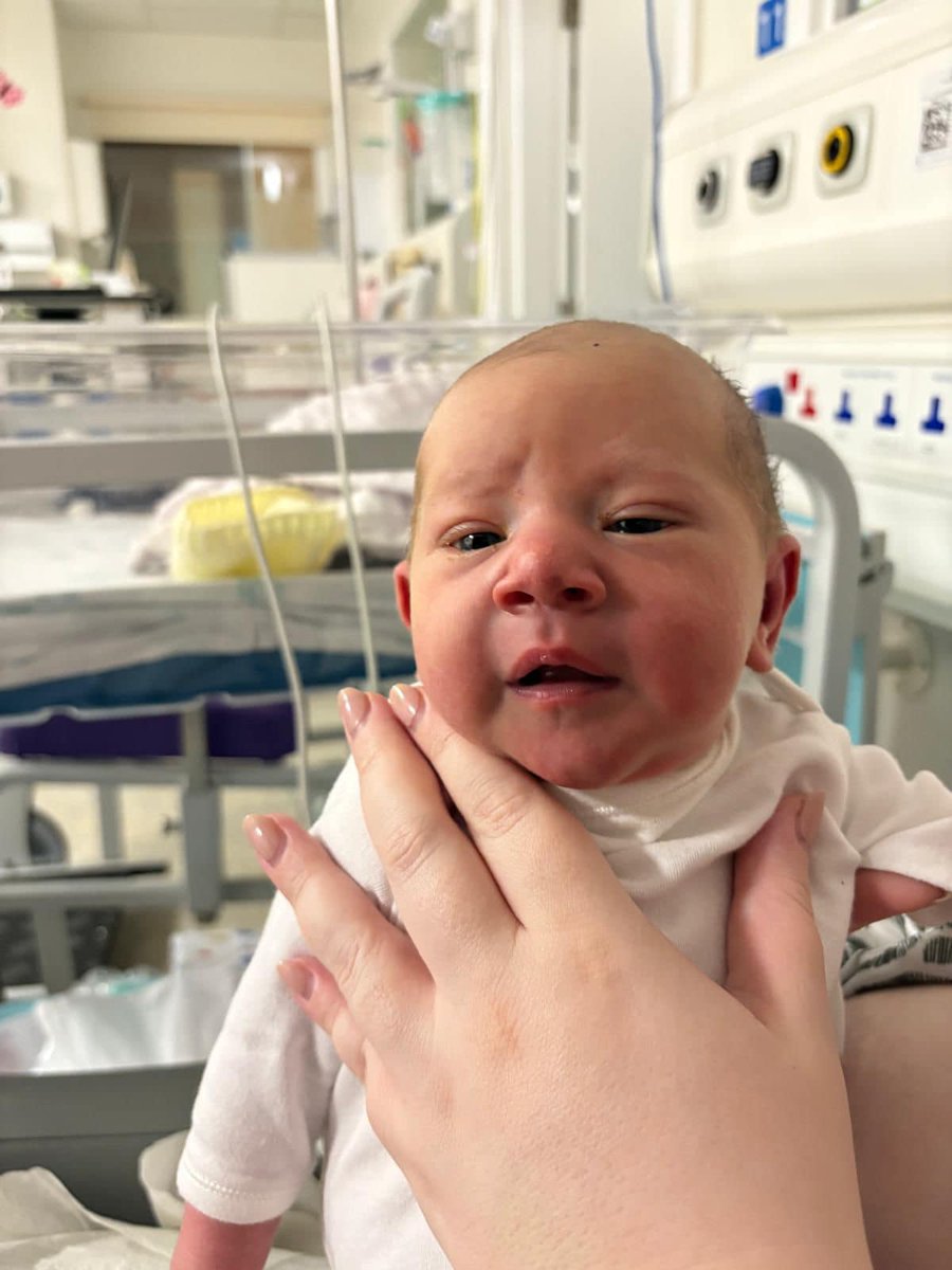 Grimes Dyke Primary School tweet media