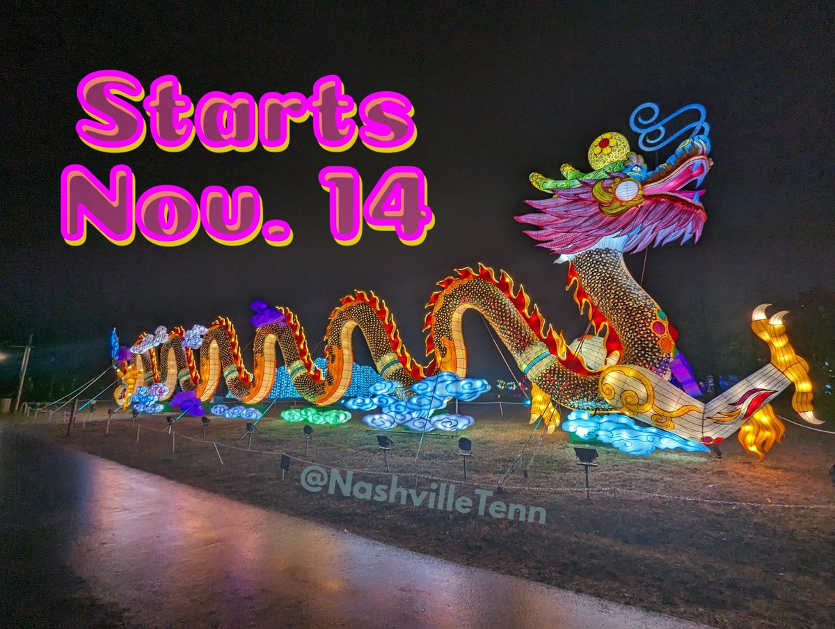 Nashville Tennessee tweet media