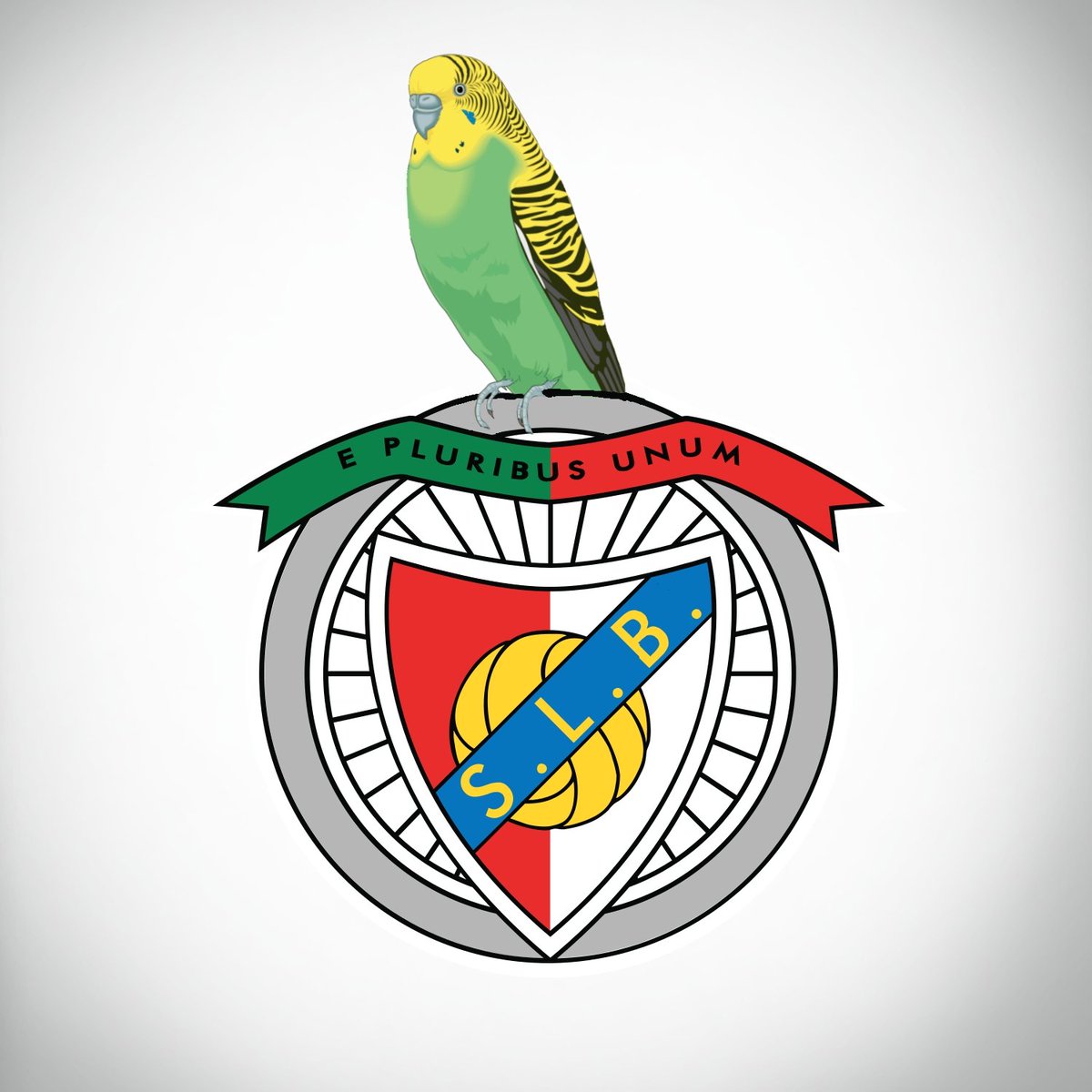 O que fica para a história é que perdemos "só" por um mas eu sei o que vi