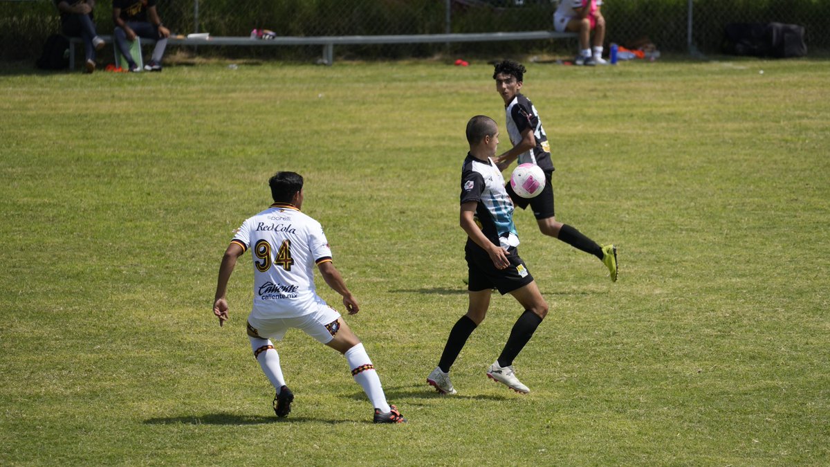 agaveros_fc's tweet photo. Agaveros F.C. vs. Leones Negros

#LigaTDP #AgaverosFC #agaverosfc⚽ #futbolista #footballclub https://t.co/FkNq9tVG5g