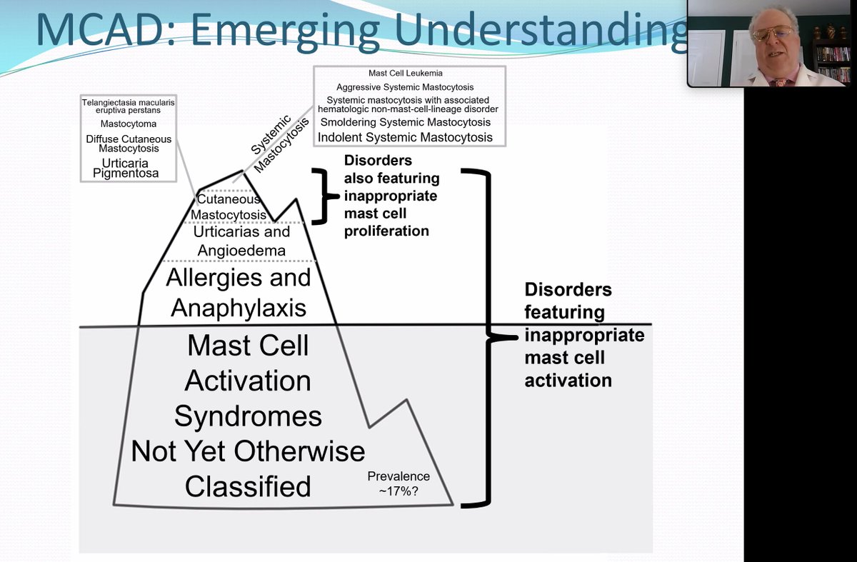 HopkinsMECFSC's tweet photo. Learning from the Source!!! Dr Larry Afrin presented at our JH Fatigue Rounds on "Thoughts on Intersections between Mast Cell Activation Syndrome and Covid-19 Infections and Vaccinations" https://t.co/uZvJ87SKGw