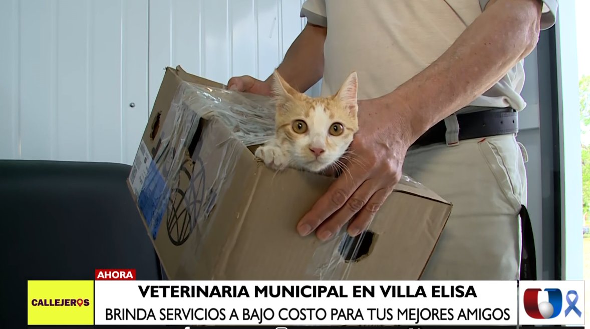 📌Clínica Veterinaria Municipal ofrece servicios a bajo costo.            

Los detalles⬇️

#Unicanal 

 unicanal.com.py/pais/clinica-v…