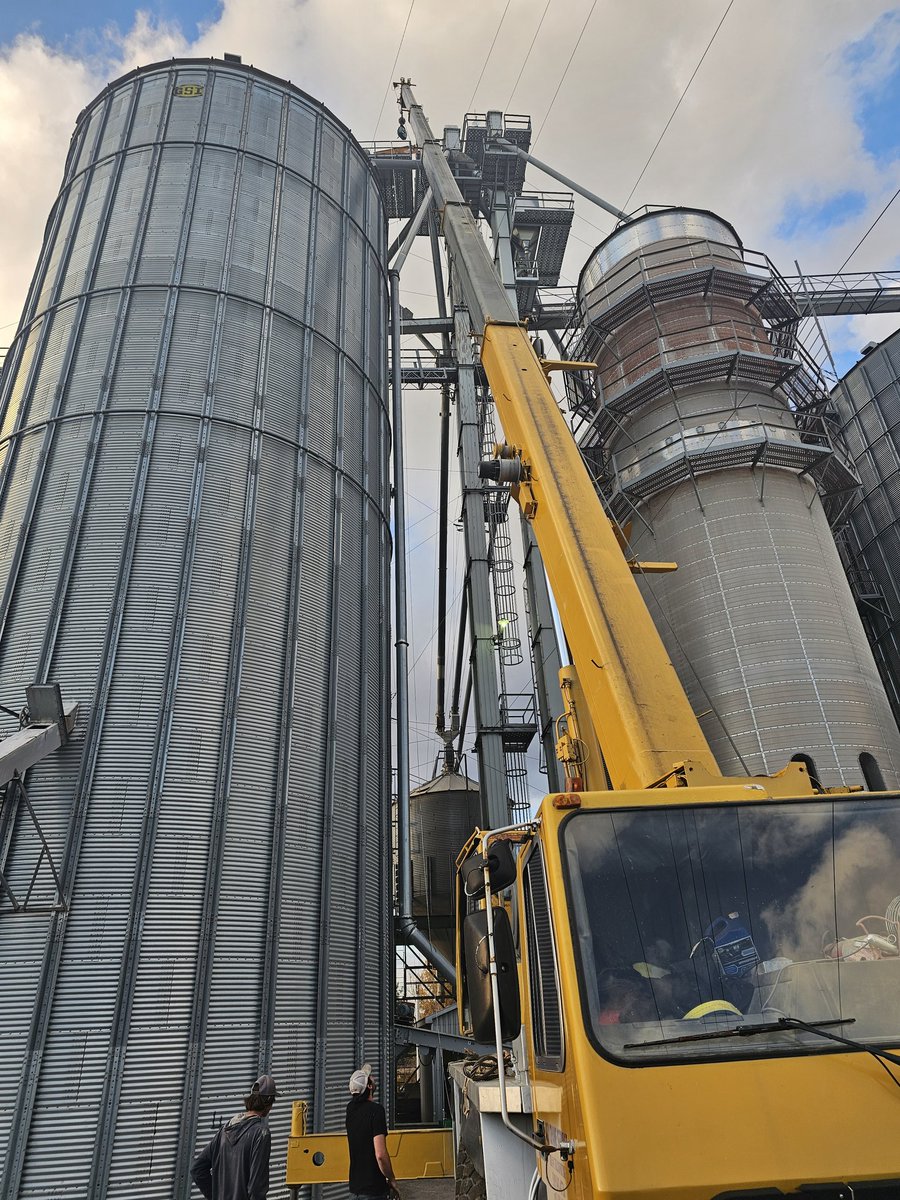 Combines didn't turn a wheel today.. but we're plenty busy!  The new building is really taking shape .  <a href="/ColinVermeersch/">Colin Vermeersch</a> <a href="/AndreaVrmrsch/">Andrea Vermeersch</a> #ontag #vanmeerfarms #mooresseeds #alwaysgrowing