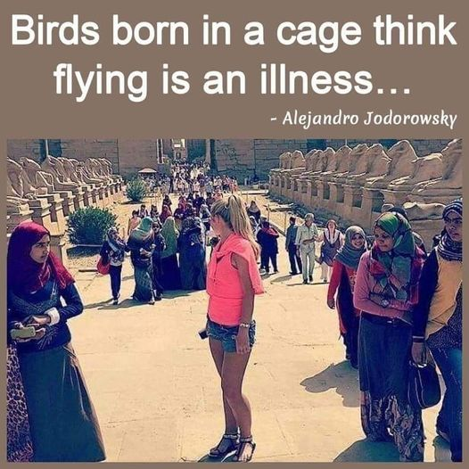 Imtiaz Mahmood tweet media